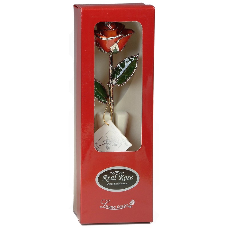 Living Gold Real Rose Dipped in Platinum (2-Tone Orange)