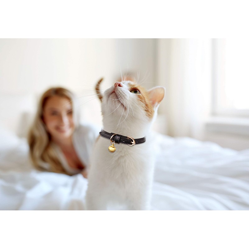 Jamktepat 3 Pack Leather Cat Collars with Bells Soft Pet