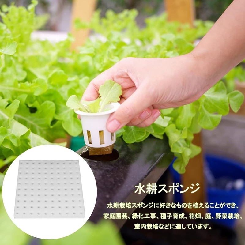 Hydroponic Growing Sponge, Vegetable Planting Sponge, Gardening Supplies, Hydroponic Cultivation,