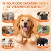 Dog Multivitamin Chews, 16-in-1 Vitamins & Supplements, 500 Soft Chews