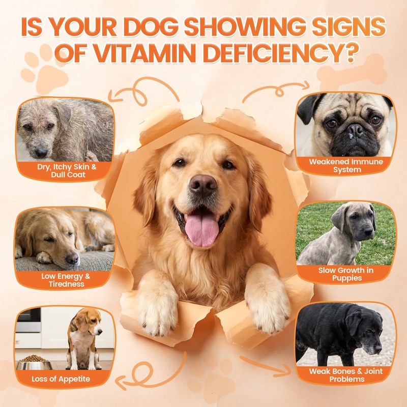 Dog Multivitamin Chews, 16-in-1 Vitamins & Supplements, 500 Soft Chews