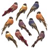 Songbird Christmas Ornaments - Set of 10 Clip Ons -