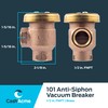 Cash Acme 1/2 Inch V-101 Anti-Siphon Vacuum Breaker, Brass Plumbing