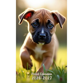 Pocket Calendar 2026-2027: Small 2-Year Monthly agenda from January 2026 to December 2027 purse size | Boxer Dog Design