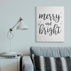 Stupell Industries Festive Merry and Bright Winter Phrase Snowflakes, Design