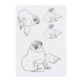 Azeeda 4 x 'Walross' Temporäre Tattoos - Wasserfest, Hautfreundlich & Ungiftig · Transfers in Verschiedenen Größen (TO00052369)