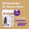 Doppelherz Relax Complex for Dogs - With Alpha Casozepine, L-Tryptophan