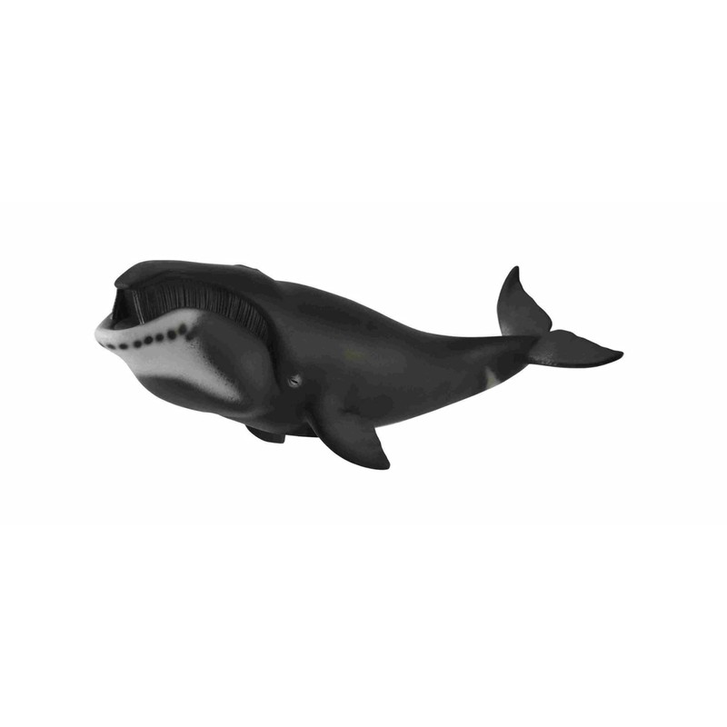 CollectA Bowhead Whale