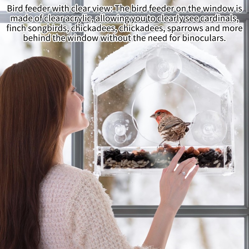 Window Bird Feeder – Clear Acrylic Bird Feeder with Suction