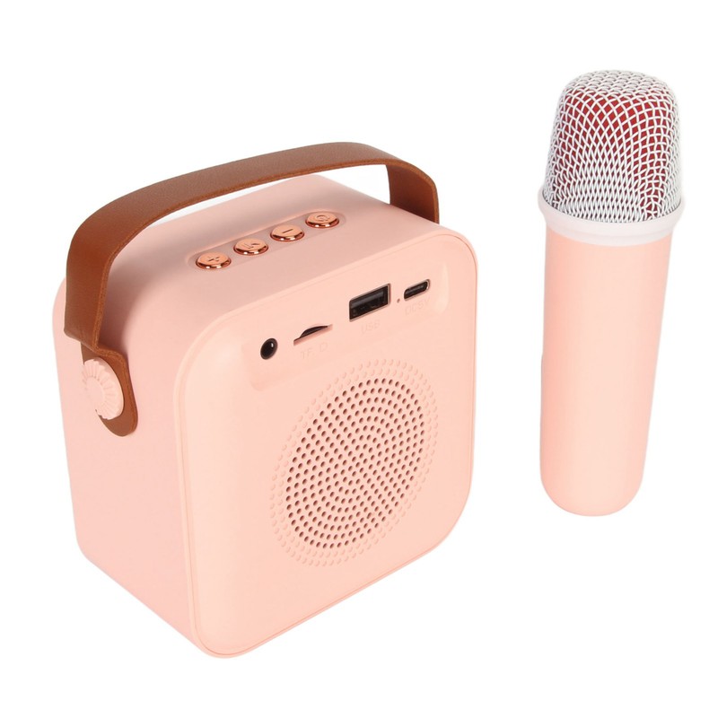 Mini Karaoke Machine Set Portable Bluetooth Speaker with 1 Wireless