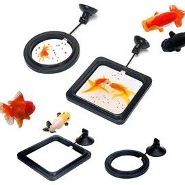Bntyok 4PCS Fish Feeding Ring Set Round and Square Floating Food Feeders with Suction Cups Prevents Food Waste and Water Turbulence Ideal for Goldfish