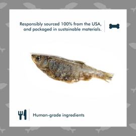 King Lou Pets - Whole Minnows for Cats and Dogs - Freeze Dried Minnows - USA-Made Freeze Dried Dog Treats and Cat Treats - Omega Rich for Skin and Coat Health - 1 lb Prior to Freeze-drying