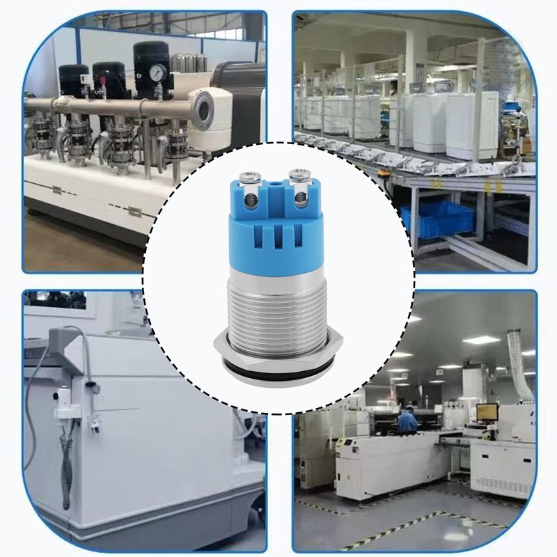 ECSiNG 2x12V 19mm Waterproof Flash Buzzer LED Flash Alarm Intermittent