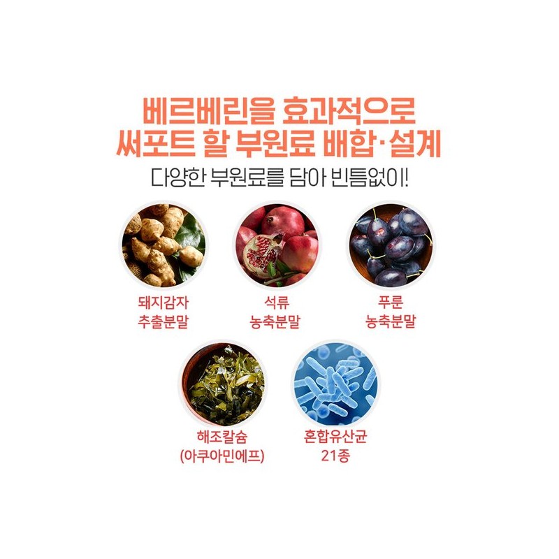 참굿즈 베르베린 매자나무열매 정 60정 1통 / Berberine 버베린 버버린