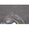 Succulent Style (4 x 10cm) Soap bubble glass iridescent baubles