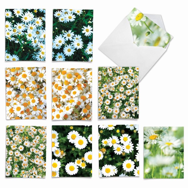 M6031sl Oopsy Daisies: 10 Assorted Blank All-Occasion Note Cards Feature