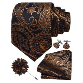 Gusleson Mens Black Gold Tie for Party Wedding Paisley Necktie Pocket Square Cufflinks and Lapel Pin Brooch Set (UK6111-16)