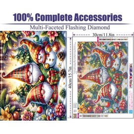 ARTMYRUI Christmas Gnome Diamond Art Kits for Adults,Landscape Diamond Painting Kits Full Drill Crystal Rhinestone Gem Art Craft Kits for Home Wall Decor Gifts 16X12Inch