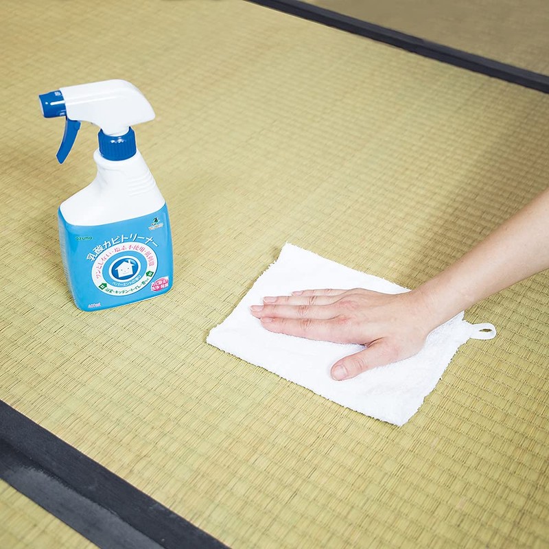 Azuma Industrial Mold Removal Detergent, Lactic Acid Mold Trainer Cleaning