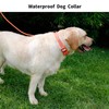 NIMBLE Dog Collar Waterproof Pet Collars Anti-Odor Durable Adjustable PVC