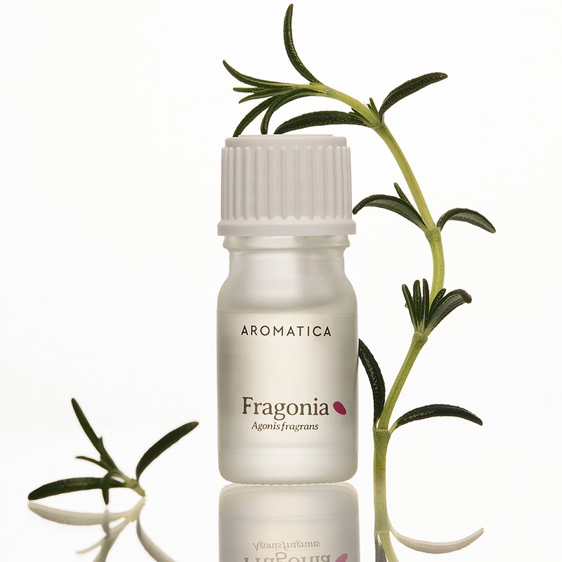 Aromatica 100% Essential Oil for Energy
