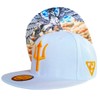 Capiche [99+ VARIACIONES] Gorra Snapback Nueva Colección Special Series Gris