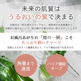 STAY FREE (Large Capacity) NaMo Hyaluronic Acid Lotion, Sensitive Skin, Highly Moisturizing, Highly Penetrating, Moisturizing, Prevents Roughness, Non-sticky, 16.9 fl oz (500 ml), Made in Japan