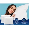 Zollner 114 Set of 2 Microfibre Cushions Various Sizes Washable