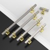 Coinkoly 10 Pack Gold and Brushed Satin Nickel Cabinet Knobs