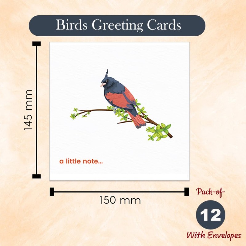 Papa Prints Pack of 12 Notelets and Envelopes Sets (145