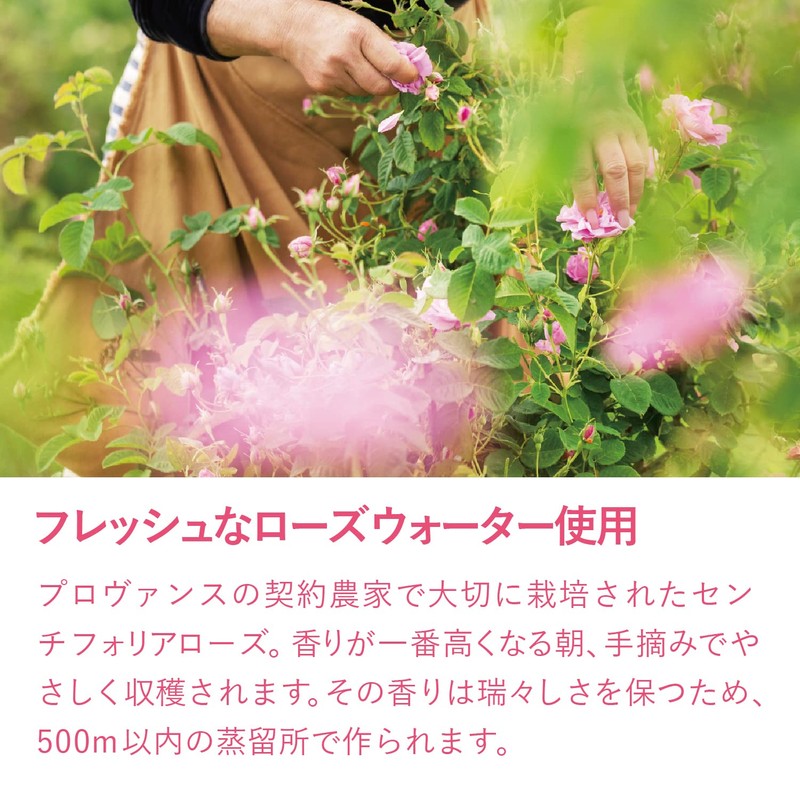 L'Occitane Rose Moisture Mist Lotion, 1.7 fl oz (50 ml)