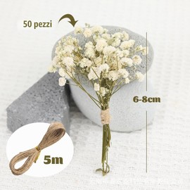 JOVYTH Confezione Gypsophila Essiccata Bianca, Mini Fiori Secchi Naturali per Artigianato, Decorazioni Nozze e Resina, con Cordino
