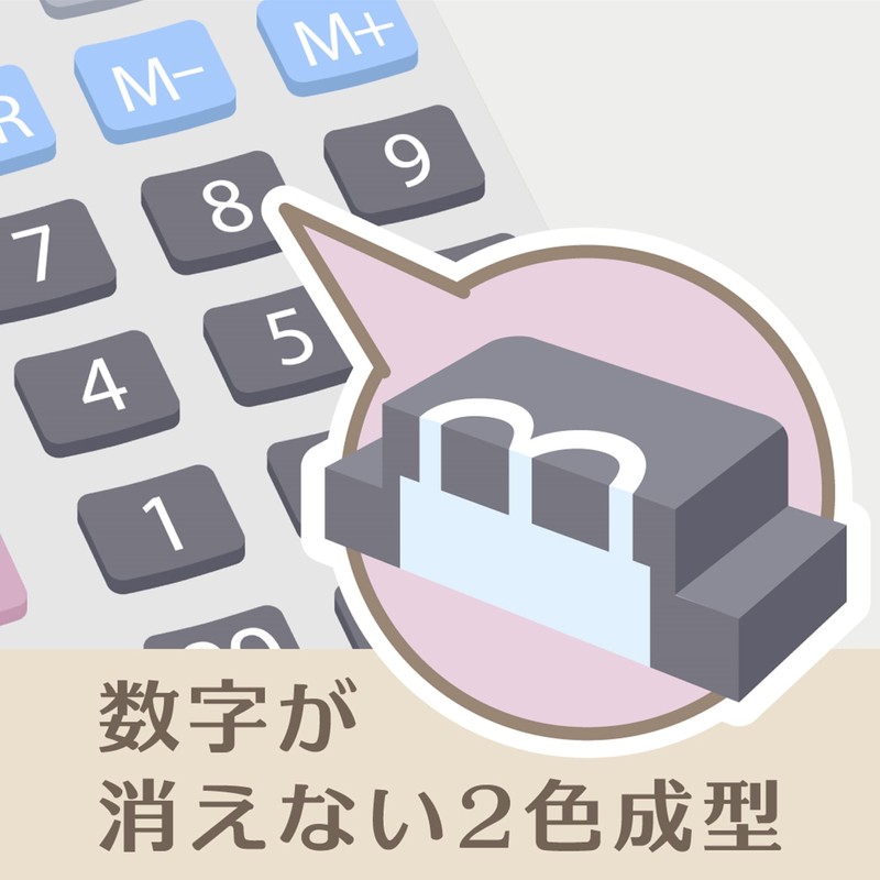 Casio Professional Business Calculator, 12-digit with verification function, Just Type,
