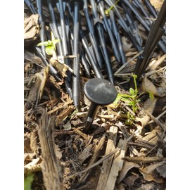 Mighty-Spikes™ - Made in The USA - 50 Pack Black - 6" Super Strong Stakes for Garden, Landscape Fabric, Artificial Turf, Tarps & Tents, Camping, Staples, Pins, Break & Bend Resistant, Will Never Rust