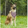 Dog Bandana, Promoted to Big Sister Dog Bandana, Dog Scarf