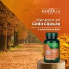 Cúrcuma Con Pimienta Negra + Omega 3, Curcumina Herbalia Lab