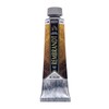 Talens Japan T0182-050-1 Rembrandt Limited Edition Gold Oil Paint, 1.4