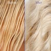 Seek Bamboo Champú Sólido Morado Para Cabello Rubio, Plateado Y