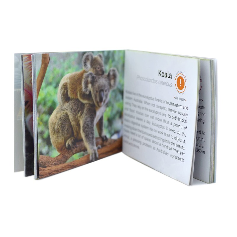 Menique. Juego de Memoria Animales Salvajes en Inglés. Memory Matching