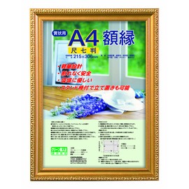 Nakabayashi Fu-KWP N Certificates Frame, Gold Frame, Made of Resin