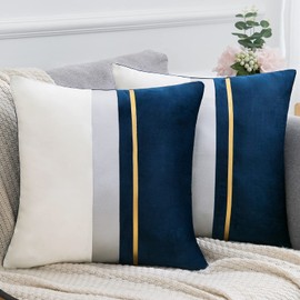Set of 2 Cozy Velvet Square Decorative Cushion Covers for Couch and Bed Luxury Modern Blue Throw Pillow Cover 50 x 50 cm Decorative Pillow for Bedroom Living Room Accessories, 20 x 20 Inches