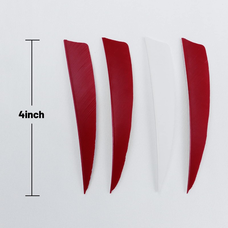 OBTOUTDOOR Pack of 60 Archery Arrow Feathers, 4 Inch Natural
