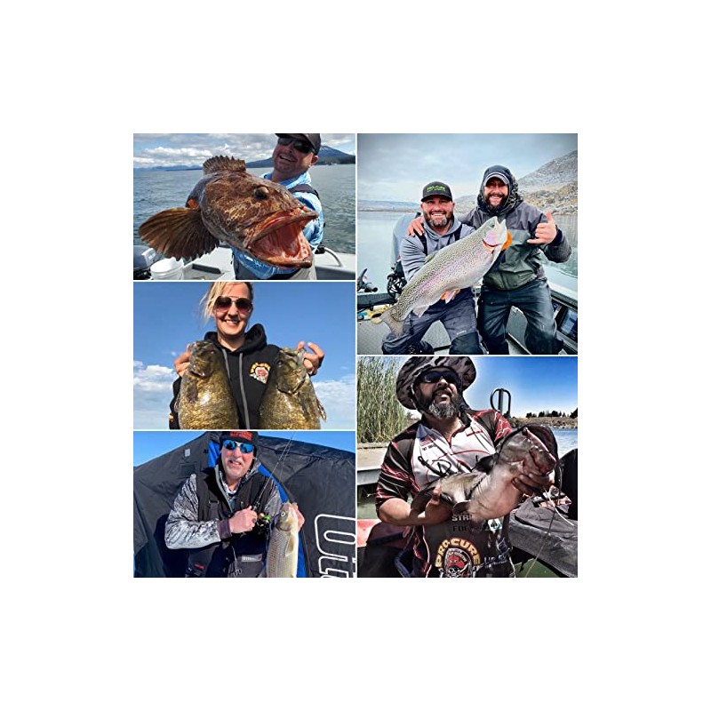 Pro-Cure Carp Spit Bait Oil, 8 Ounce