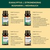 Organic Essential Oils Set of 12 - Natural Relaxation for