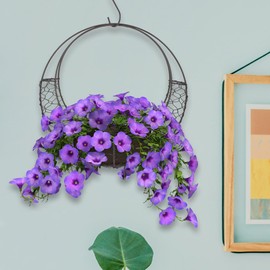 IWOWHERO Moon Shaped Metal Hanging Baskets Planter Wire Wreath Frame Air Plant Hanger Succulent Flower Plant Holder Pot Hanging Flower Stand for Wedding Cafe Home or Garden Decor