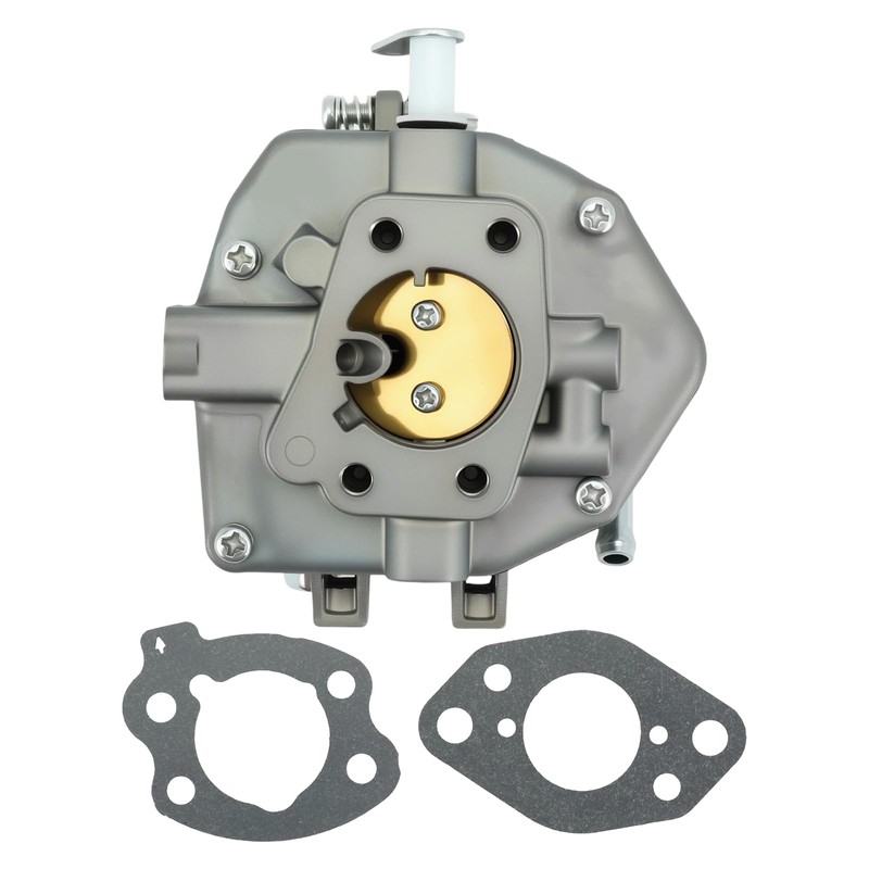 846109 Carburetor Replacement Kit with Gaskets & Fuel Filter –