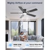 Phylluz 52'' Black Flush Mount Ceiling Fan with Lights for