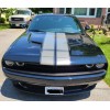 ORACAL 18" CHARCOAL METALLIC rally stripes decals fits any yr