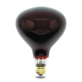 lumenivo 250 Watt Replacement for Fengrun Dark Red Heat Lamp 120V - Incandescent E26 Medium Screw - 1-inch Diameter - Infrared Light Bulb Heater - for Pets, Chicken, and Pig Farm - 1 Pack