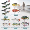 GOTURE Joint Lure, Articulated, Natural x Vivid Combo Set, For